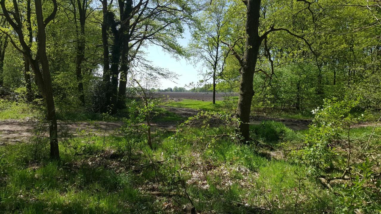 Chalet Drenthe Villa Schoonloo Kültér fotó