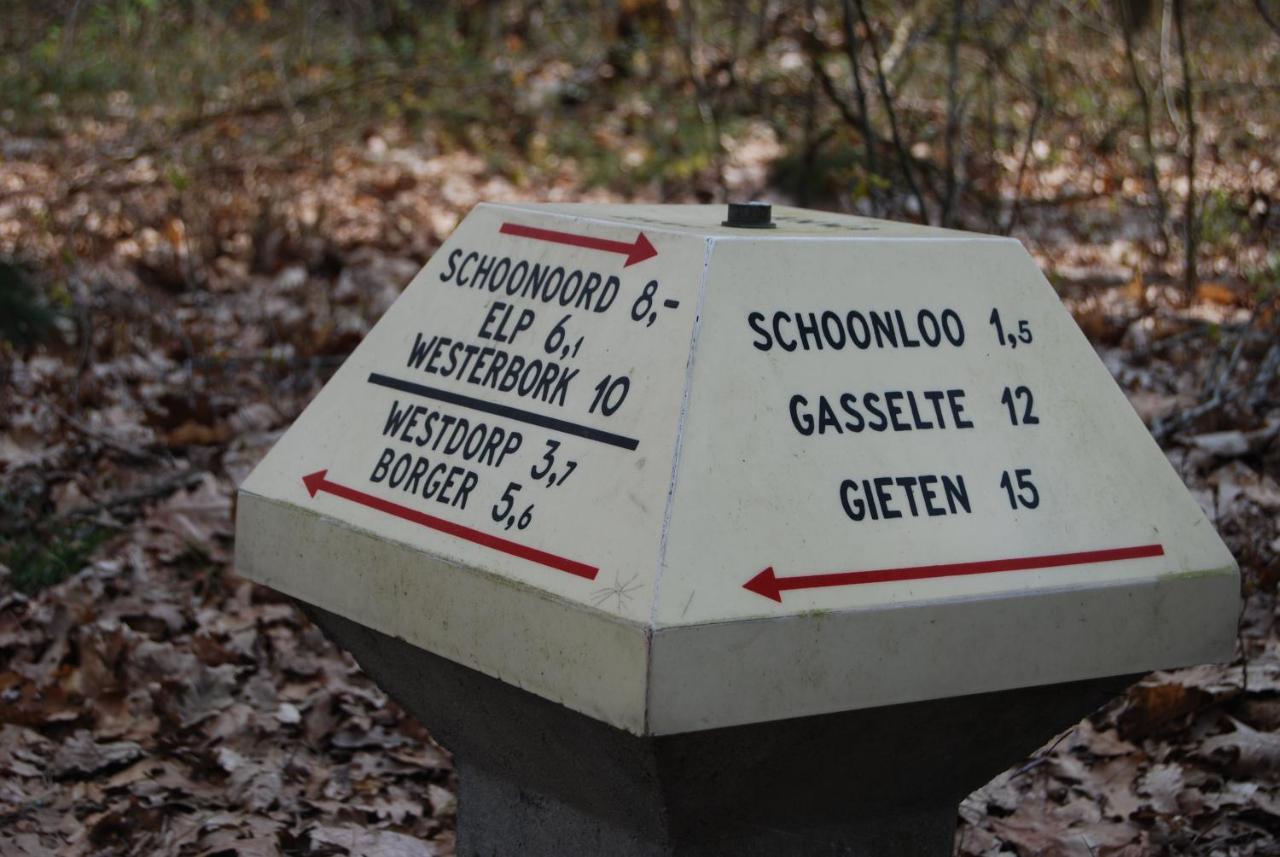 Chalet Drenthe Villa Schoonloo Kültér fotó