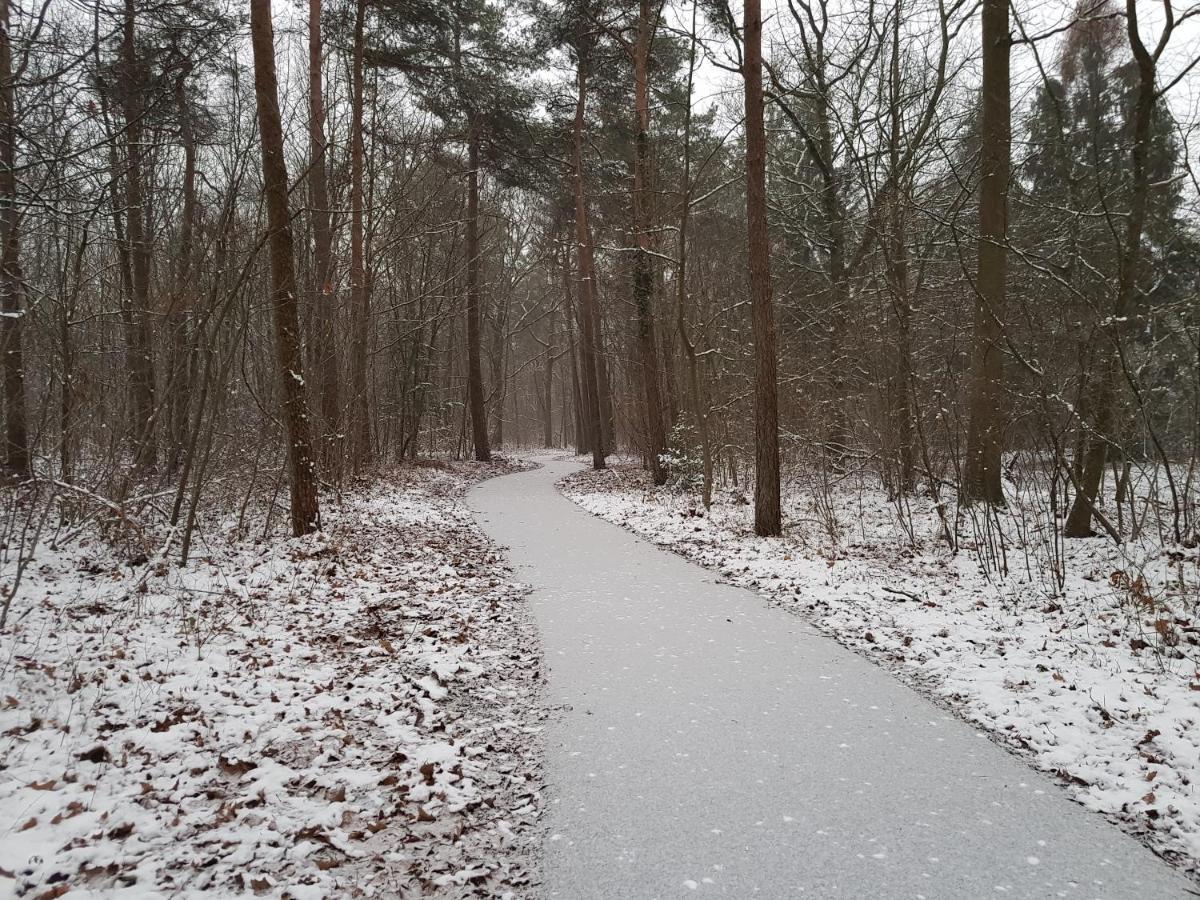 Chalet Drenthe Villa Schoonloo Kültér fotó